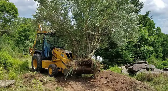 Understanding Land Clearing Costs.