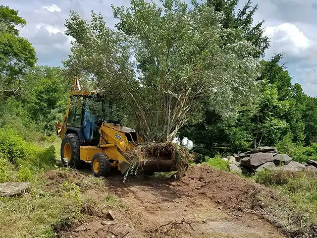 Allentown Land Clearing Contractors