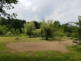 lawn reconditioning three thumb