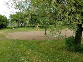 lawn reconditioning three thumb