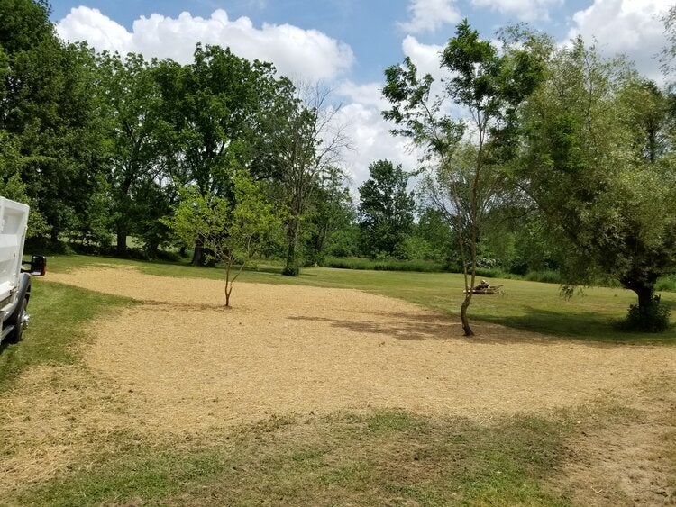 lawn reconditioning three