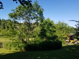 lawn reconditioning three thumb