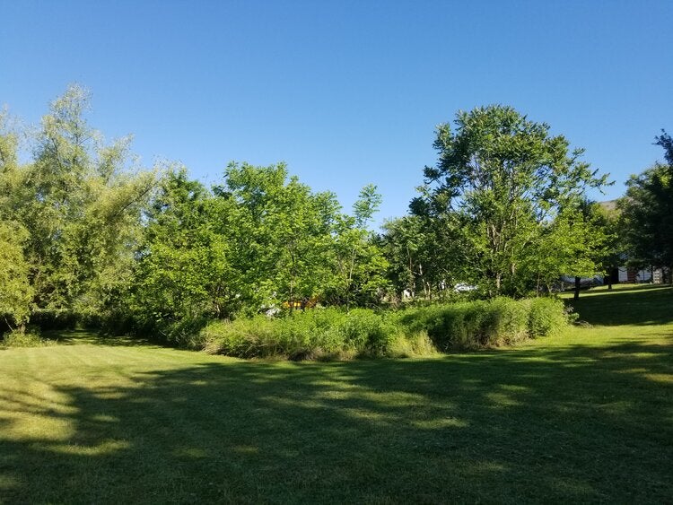 lawn reconditioning three