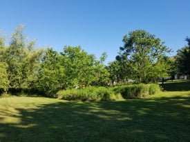 lawn reconditioning three thumb