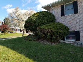 lawn reconditioning thumb