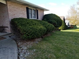 lawn reconditioning thumb